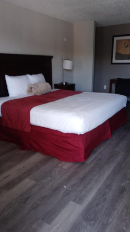 La Casa Inn New Port Richey Gulf Beach Us-19 Екстер'єр фото